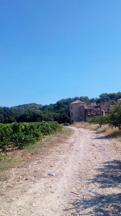 Villelaure Les Cigales B&B 외부 사진