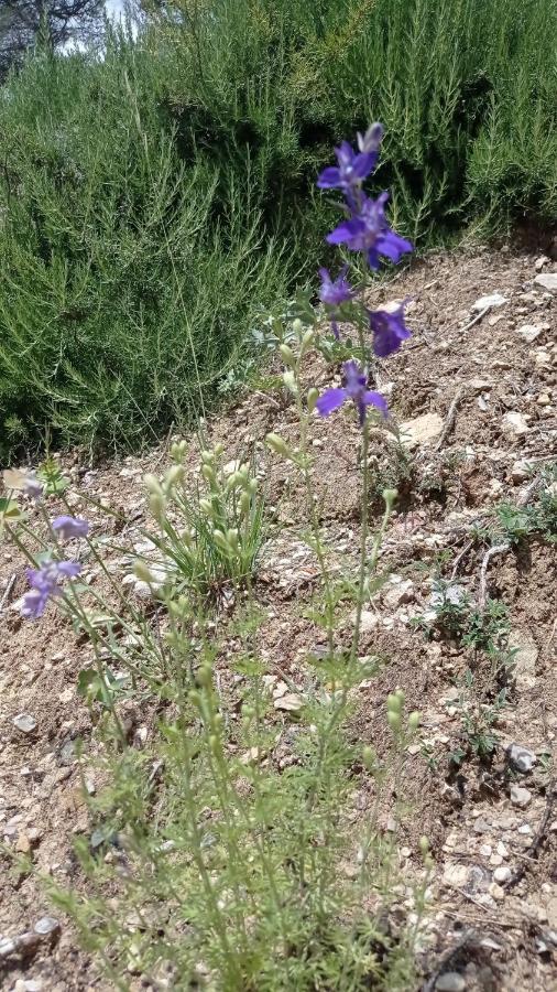 Villelaure Les Cigales B&B 외부 사진